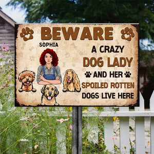 GeckoCustom Beware A Crazy Dog & Cat Lady For Pet Lovers Metal Sign Personalized Gift HO82 893000