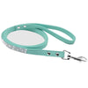 Blue leash