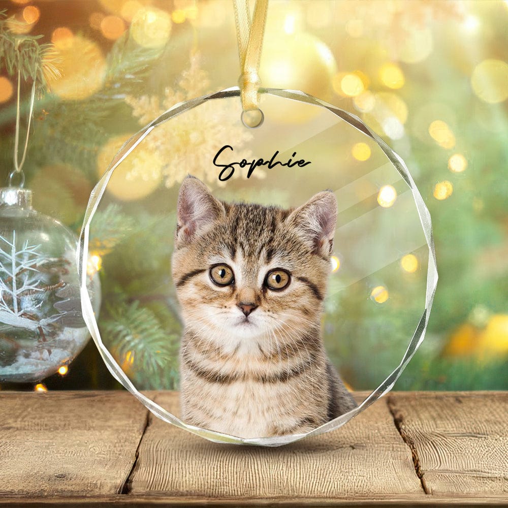 GeckoCustom Custom Cat Photo Christmas Glass Circle Ornament HO82 893052