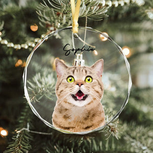 GeckoCustom Custom Cat Photo Christmas Glass Circle Ornament HO82 893052