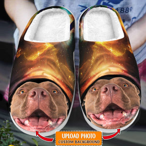 GeckoCustom Custom Dog Cat Photo Unveiling Art Slipper N369 889850