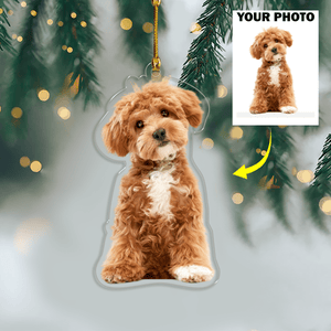 GeckoCustom Custom Dog Photo Acrylic Ornament DM01 891361