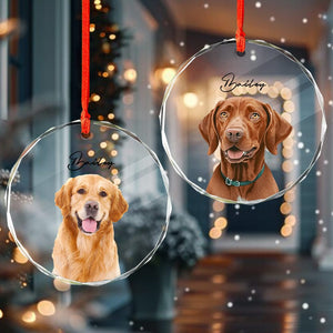 GeckoCustom Custom Dog Photo Christmas Glass Circle Ornament HO82 893036