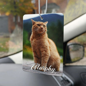 GeckoCustom Custom Photo Acrylic Car Air Freshener N304 HN590