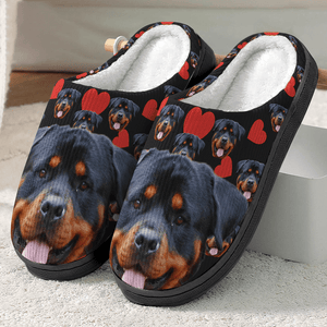 GeckoCustom Custom Photo Dog Cat And Accessories Slipper N369 HN590