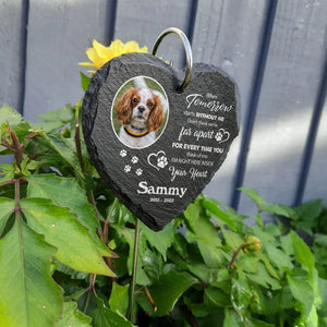 GeckoCustom Custom Photo Dog Garden Slate & Hook K228 889146