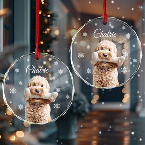 GeckoCustom Custom Photo Dog Glass Ornament For Christmas HA75 891470