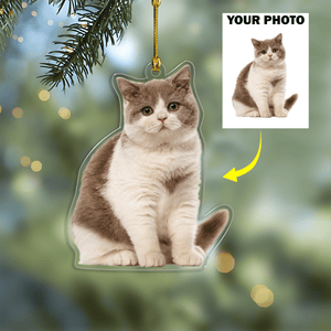 GeckoCustom Custom Photo For Cat Lover Acrylic Ornament Christmas DM01 891367