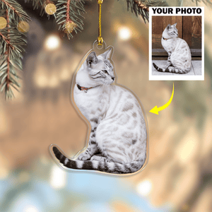 GeckoCustom Custom Photo For Cat Lover Acrylic Ornament Christmas DM01 891367