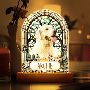 GeckoCustom Custom Photo Pet Memorial 3D Acrylic Plaque LED Night Light HA75 891460 Acrylic / 7.9"x4.5"