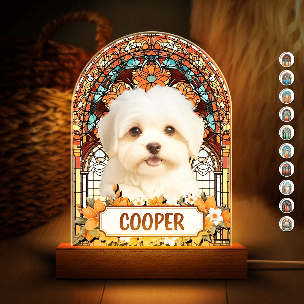 GeckoCustom Custom Photo Pet Memorial 3D Acrylic Plaque LED Night Light HA75 891460 Acrylic / 7.9"x4.5"