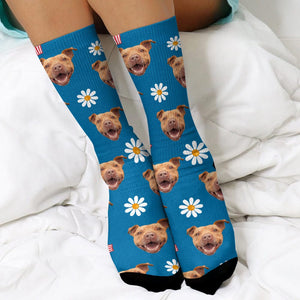 GeckoCustom Custom Photo With Accessories Pattern Pet Sock N304 890233