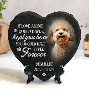 GeckoCustom Custom Photo You Would Have Lived Forever Pet Memorial Heart Shaped Stone With Stand HA75 891212