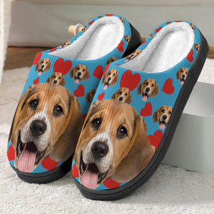 GeckoCustom Custom Plush Slippers Dog Cat Photos N369 54298 HN590