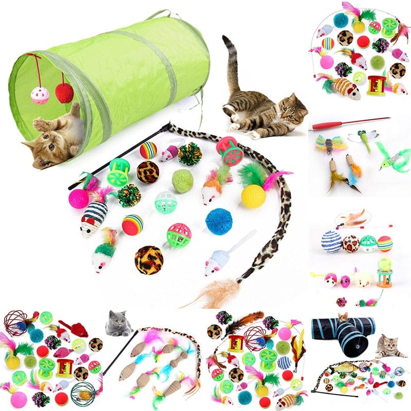 GeckoCustom Interactive Fun Dog Cat Toy Set