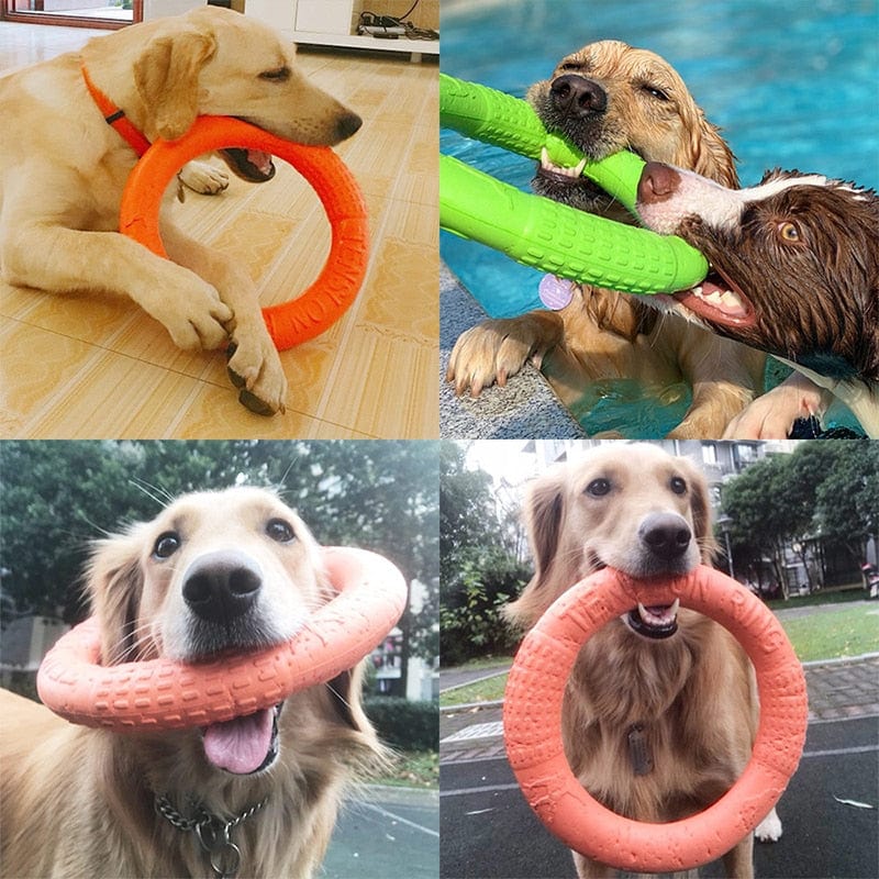 GeckoCustom Interactive Training Ring Puller Resistant Flying Discs Bite Ring Toy For Dog