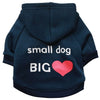 Blue Small Big Dog