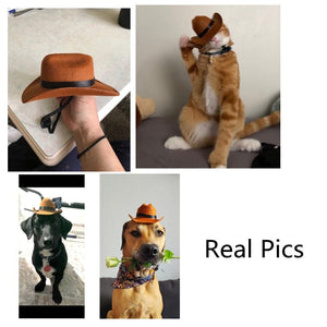 GeckoCustom Western Cowboy Halloween Dog Cat Costume