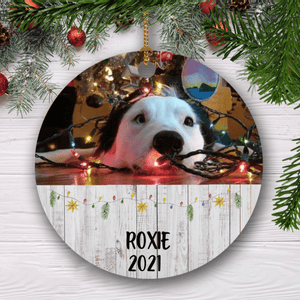 GeckoCustom Christmas Ornament, Custom Dog Photo, Personalized Gift For Dog Lovers, Christmas Gift SG02