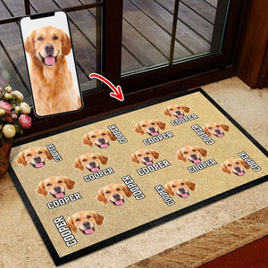 GeckoCustom Custom Photo Dog Cat Doormat K228 HN590