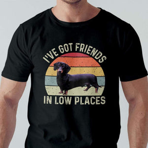 GeckoCustom I've Got Friends In Low Places Shirt