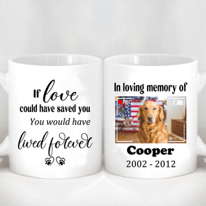 GeckoCustom In Loving Memory Dog  Personalized Custom Photo Dog Mug H473 11oz