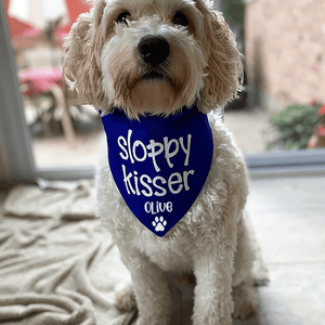 GeckoCustom Personalized Custom Dog Bandana, Handsome Devil, Sloopy Kisser Dog Bandana, Dog Lover Gift