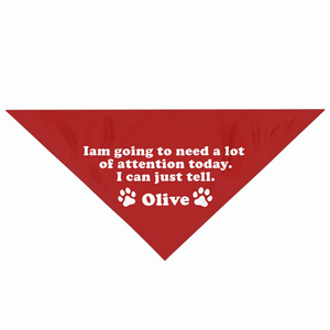 GeckoCustom Personalized Custom Dog Bandana, I'm Going To Need A Lot Of Attention, Dog Lover Gift