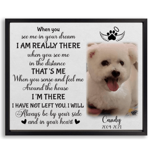 GeckoCustom Personalized Custom Picture Frame, Dog Lover Gift, When You See Me In Your Dream I'm Really There