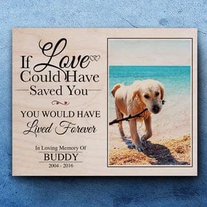 GeckoCustom Upload Photo You Would Have Lived Forever Dog Memorial Gift Wooden Picture, HN590