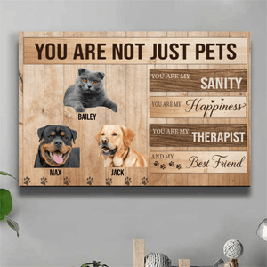 GeckoCustom You Are Not Just A Dog, You Are My Sanity, Happiness, Best Friends, Dog Print Canvas, SG02